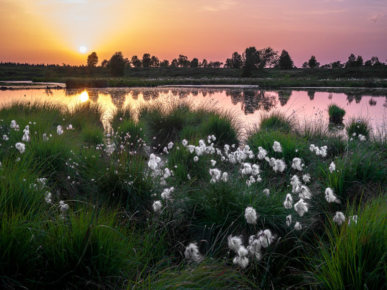 Puetz-Cordes-Stefan_Moor-02