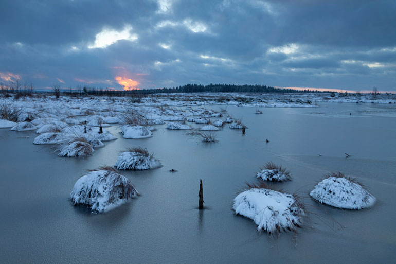 Uwe-Wuller_Brackvenn_0031-4357