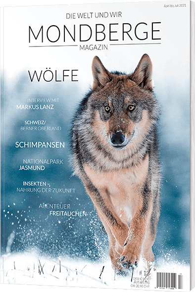 mondberge-magazin-13